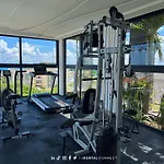 New Studio P-2, Alberca, Sauna, Vista Al Mar Y 5Ta Av Ir04